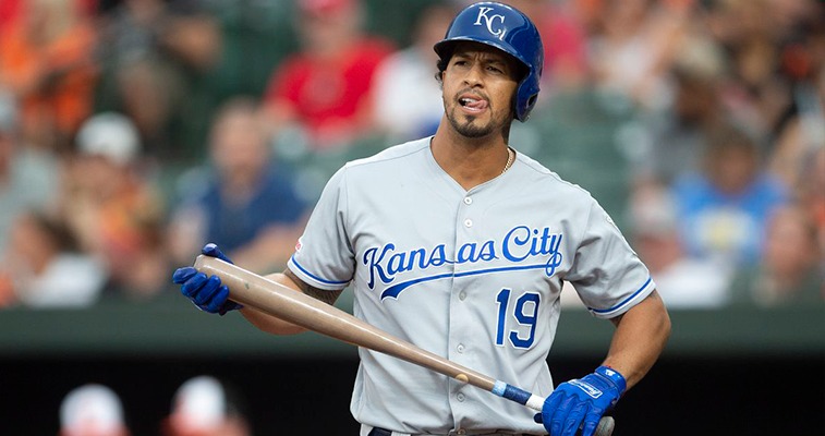 Cheslor Cuthbert define la importación de Samanes Cheslor Cuthbert define la importación de Samanes